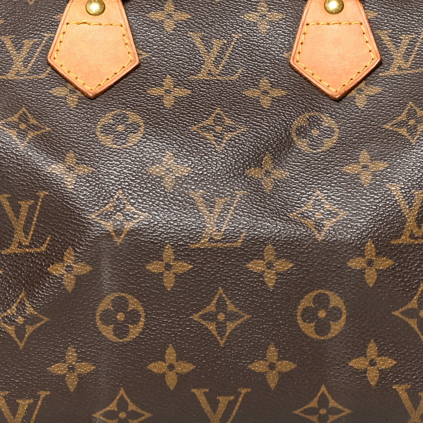 Monogram Speedy 25