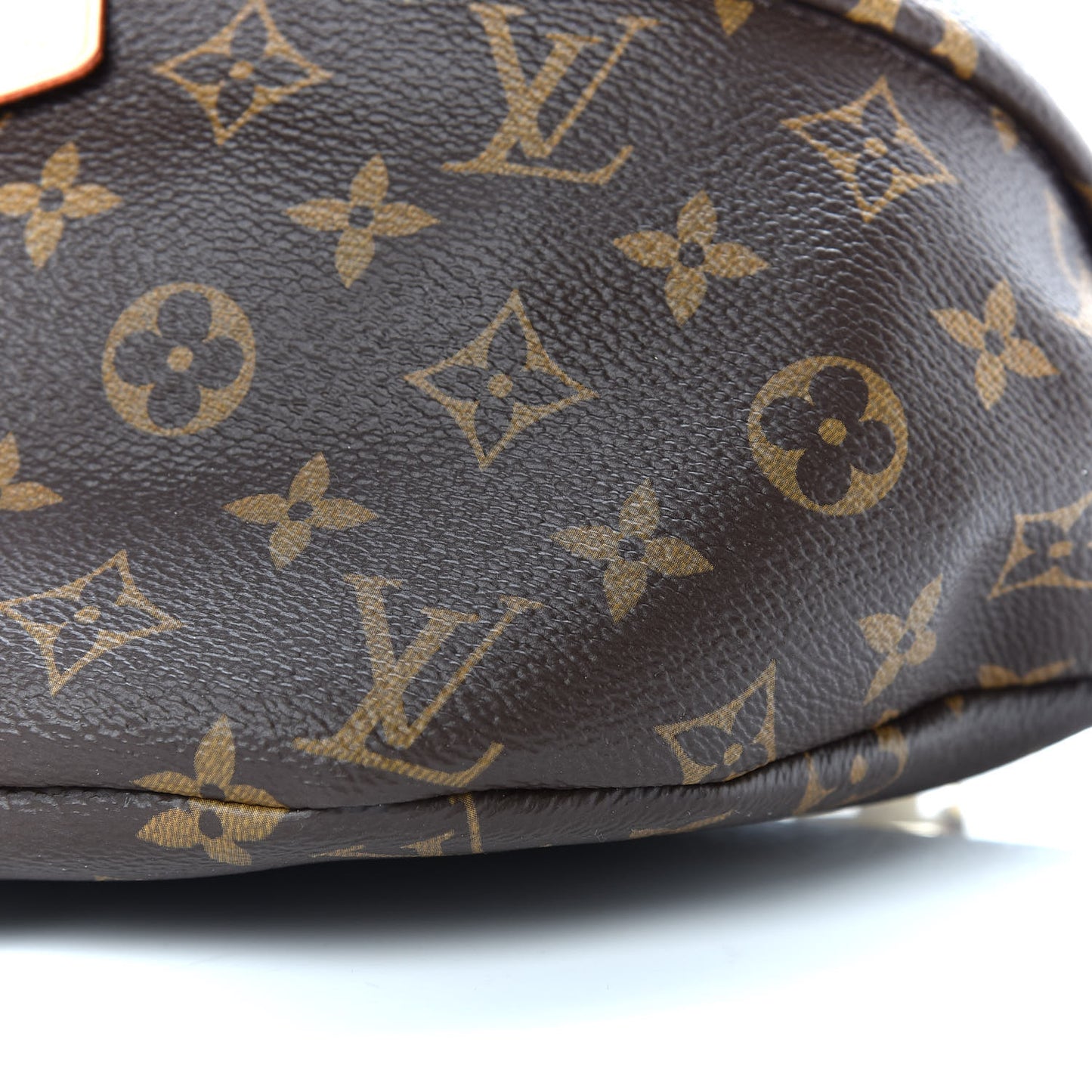 Monogram Bumbag