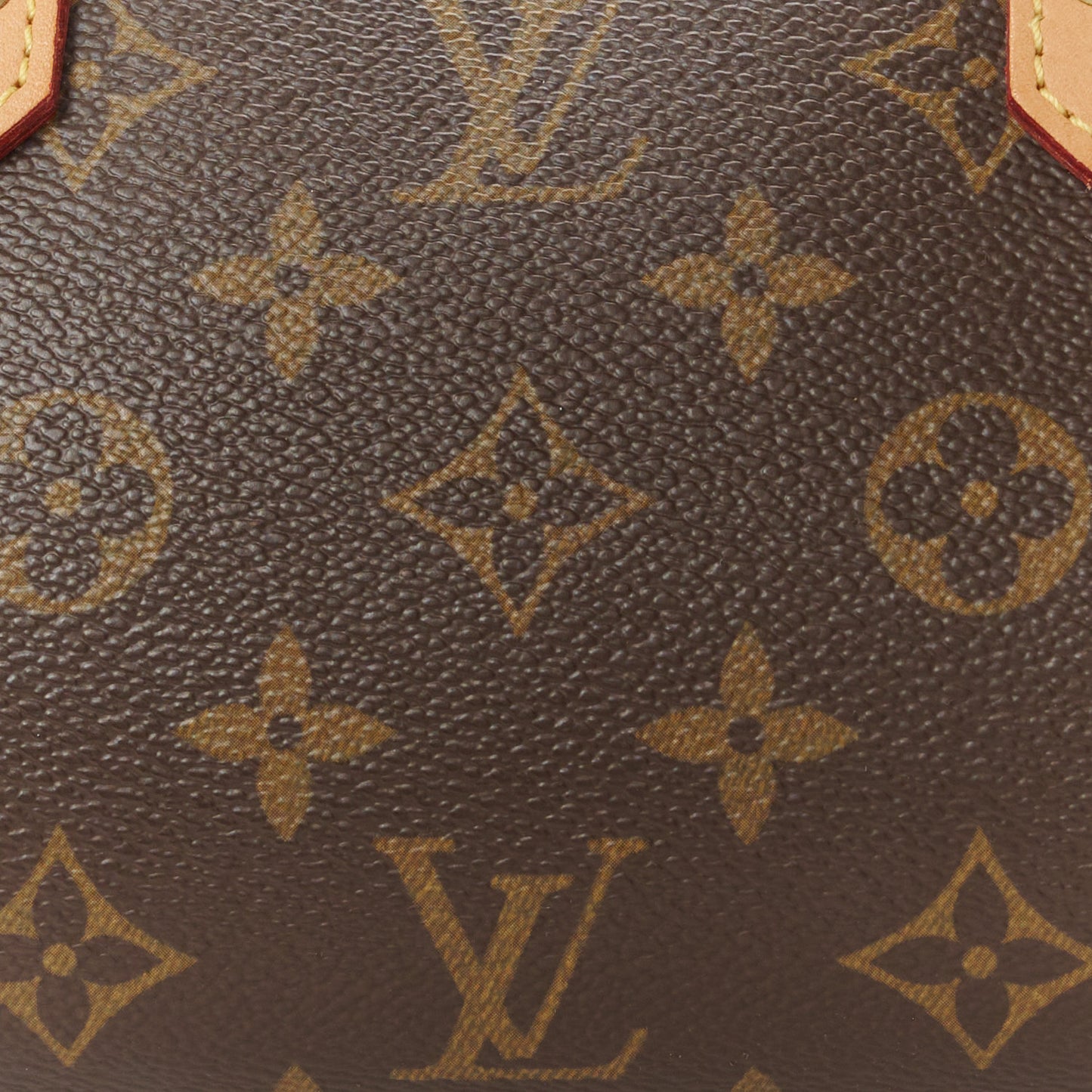Monogram Ribera Mini