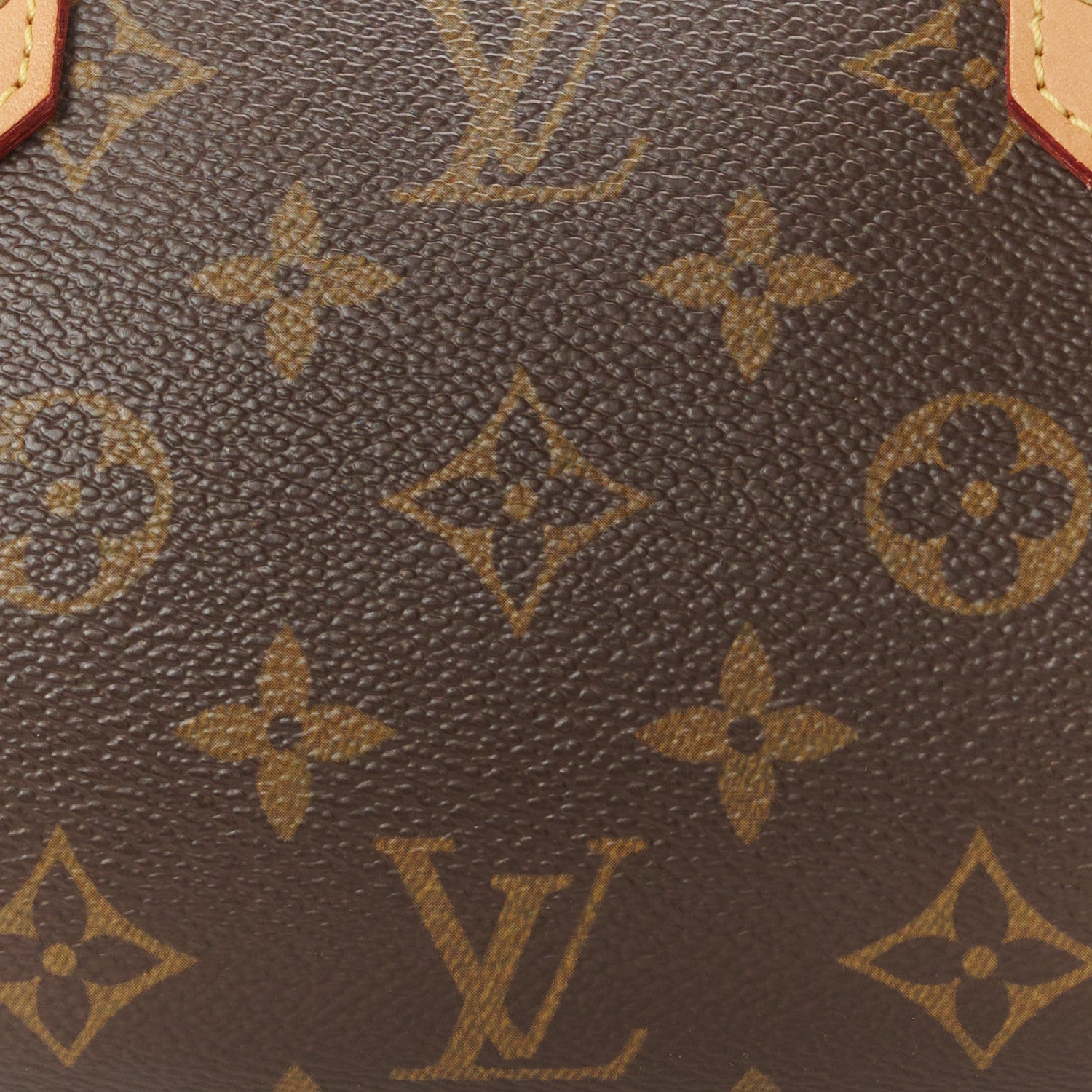 Louis Vuitton Monogram Ribera Mini 8 of 10