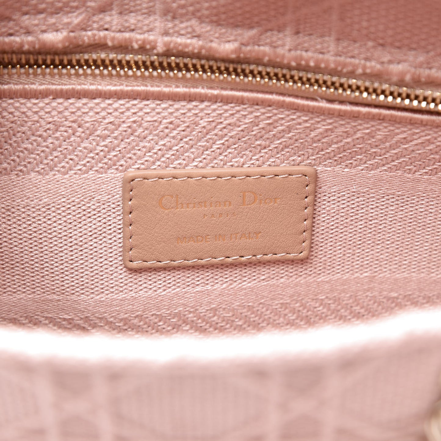 Canvas Embroidered Medium Lady D-Lite Bois De Rose