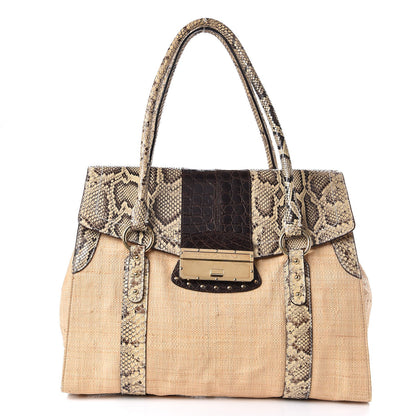 Dolce & Gabbana Raffia Python Tote 1 of 18