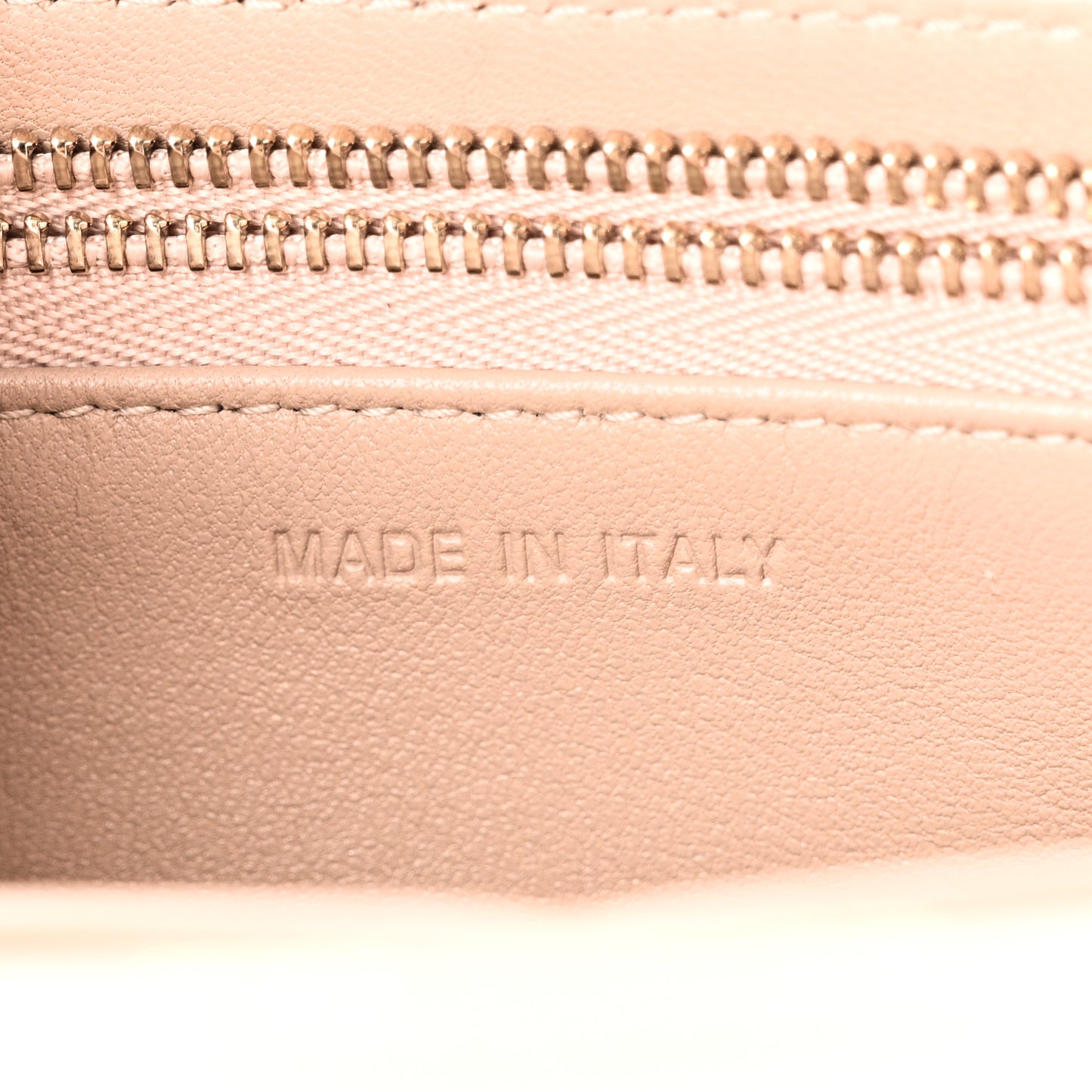 Grained Calfskin Diorama Wallet on Chain Pouch Nude