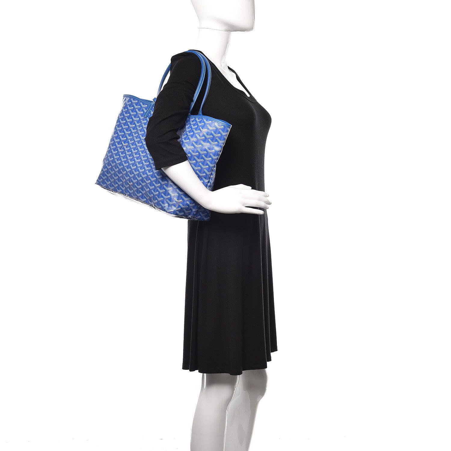 Goyard Goyardine Saint Louis PM Sky Blue 2 of 11