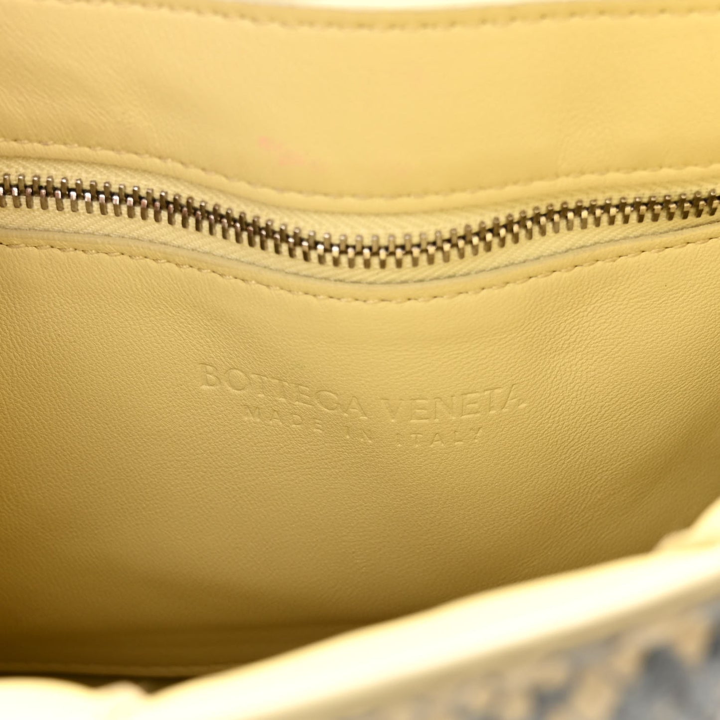 Goatskin Python Embossed Padded Cassette Crossbody Bag Kiwi Black Silver