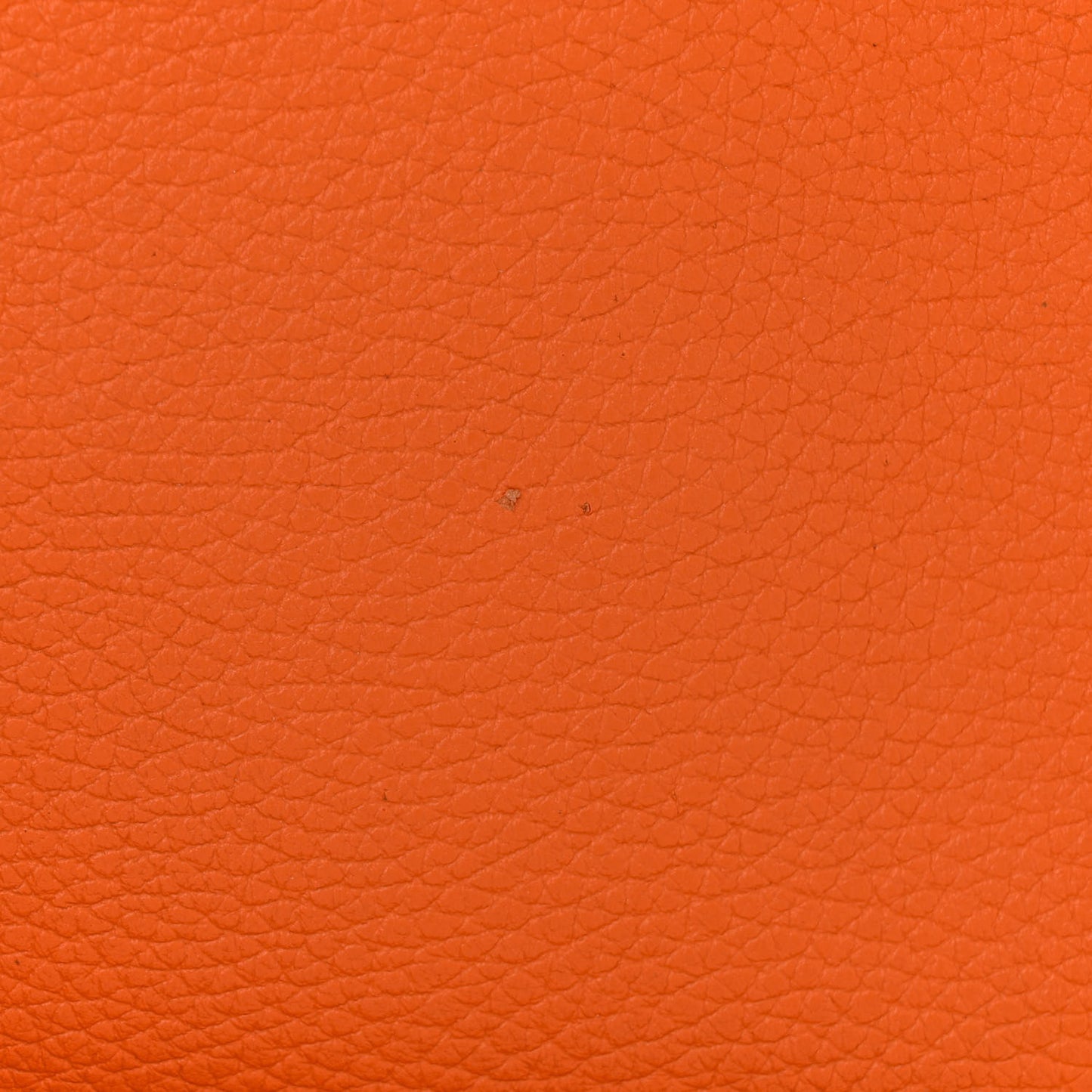 Taurillon Clemence Evelyne III GM Orange