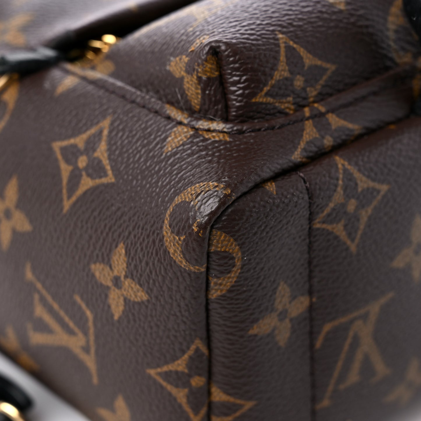 Monogram Palm Springs Backpack Mini