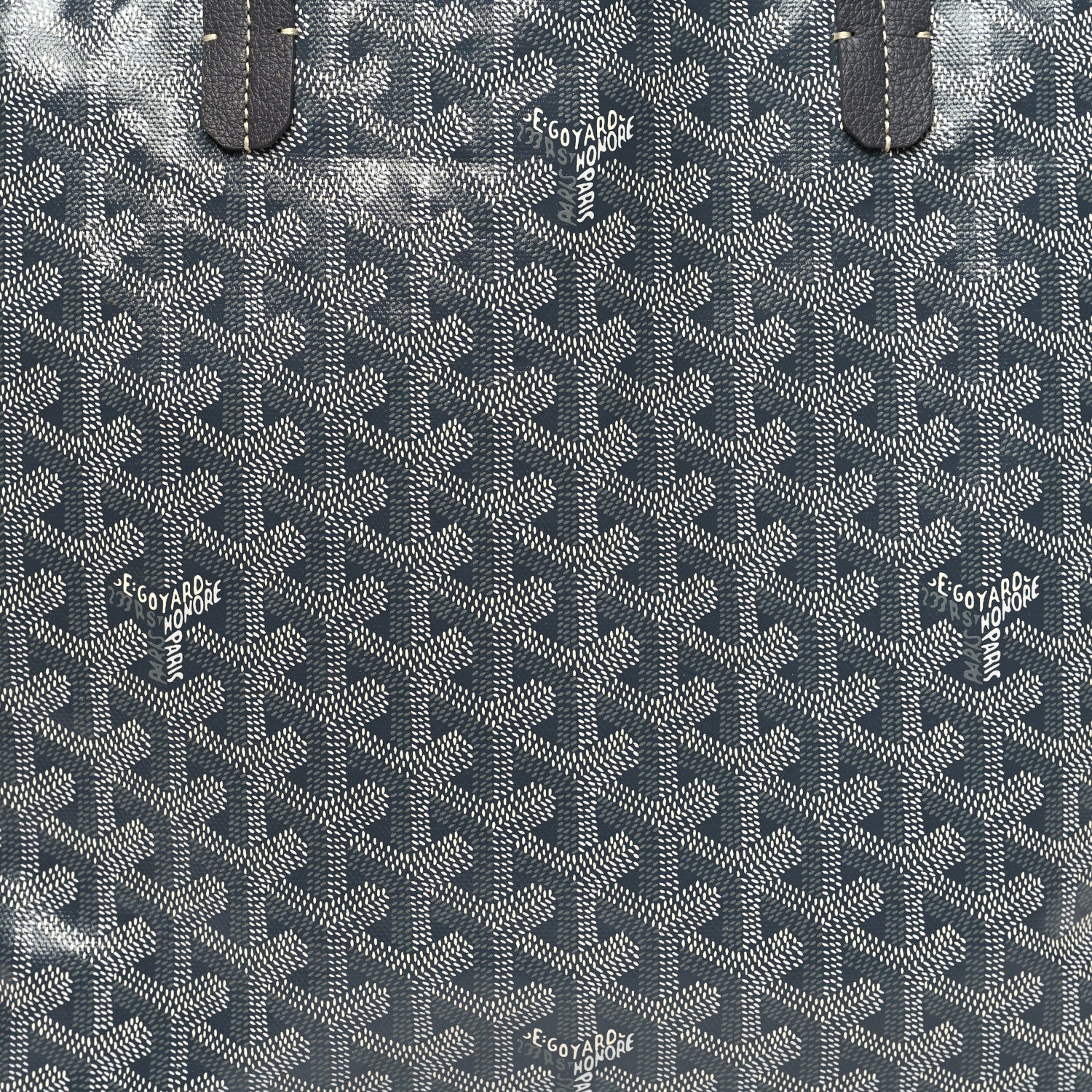 Goyard Goyardine Saint Louis PM Grey 9 of 11