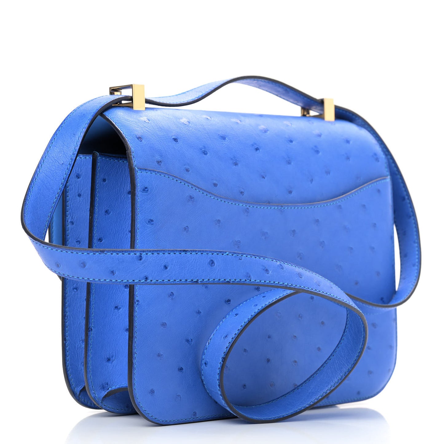 Ostrich Constance 24 Bleuet