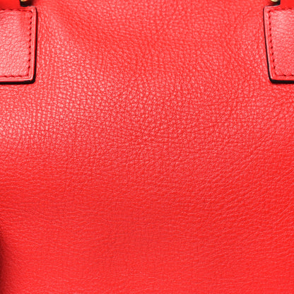 Loewe Calfskin Amazona Red 8 of 11