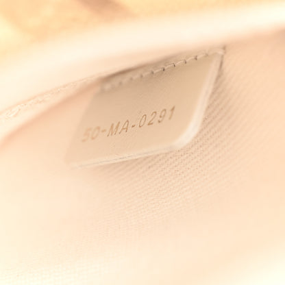 Christian Dior Canvas Around The World Stella Embroidered Medium Lady D-Lite White Gold 7 of 12
