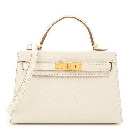 Hermes Chevre Mysore Mini Kelly Sellier 20 Mushroom 1 of 11