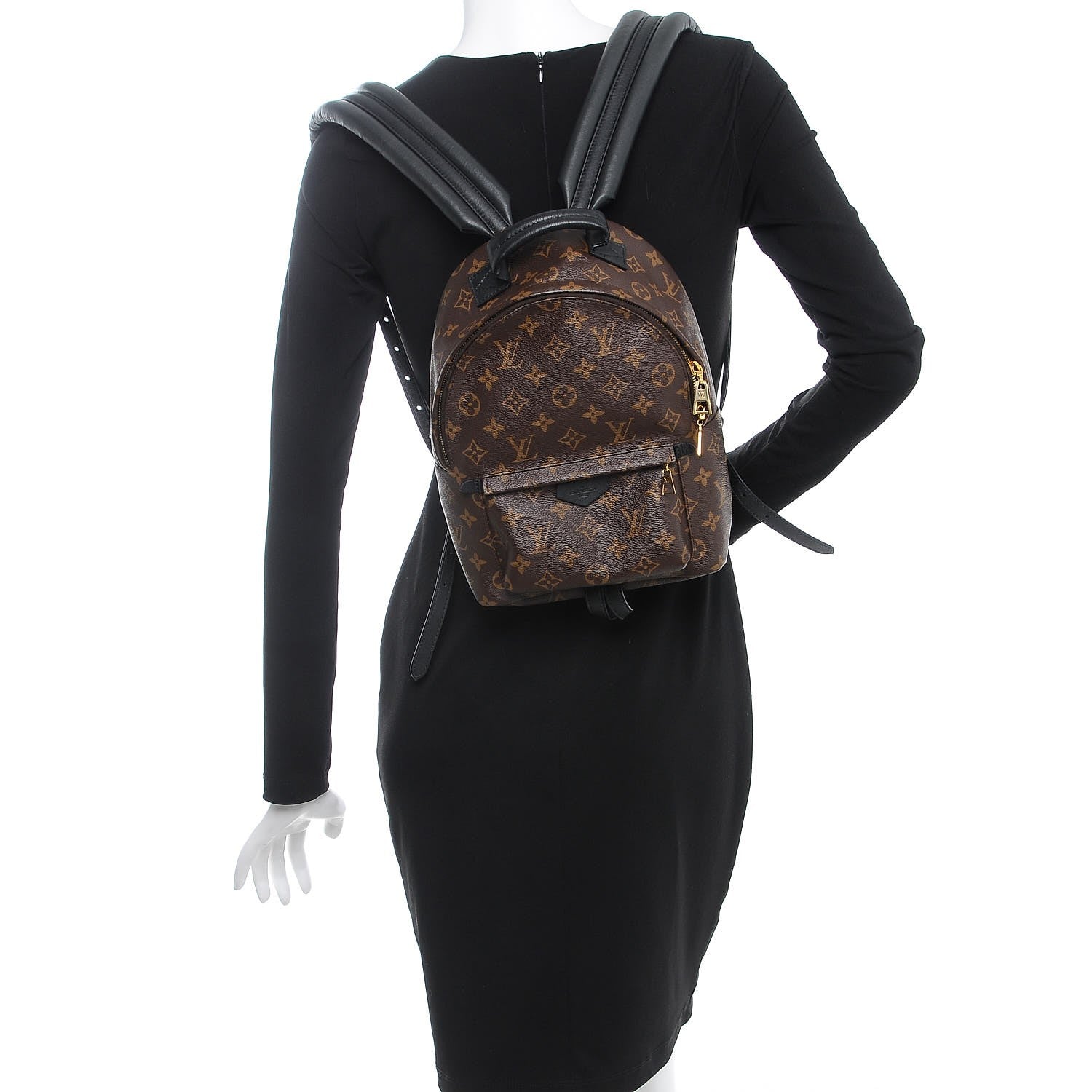 Louis Vuitton Monogram Palm Springs Backpack PM 2 of 7