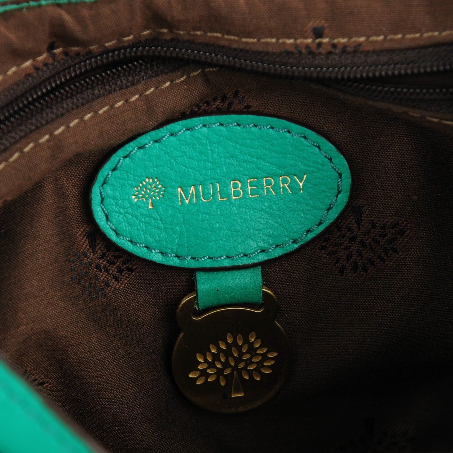 Mulberry Soft Buffalo Mini Alexa Aqua Green 8 of 10