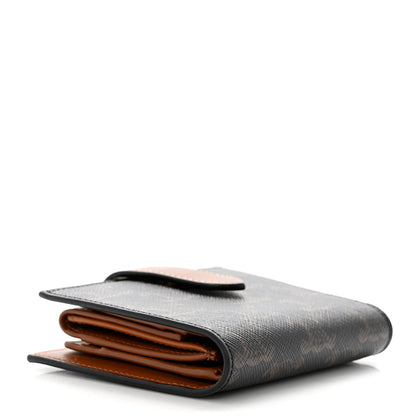 Celine Canvas Triomphe Small Strap Wallet Tan 4 of 8