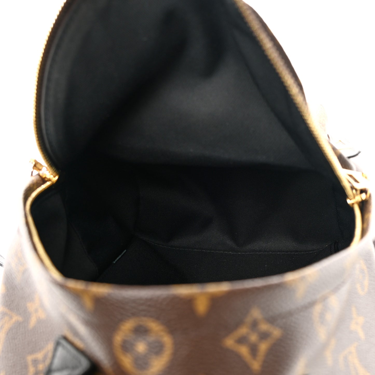 LOUIS VUITTON Reverse Monogram Palm Springs Backpack PM