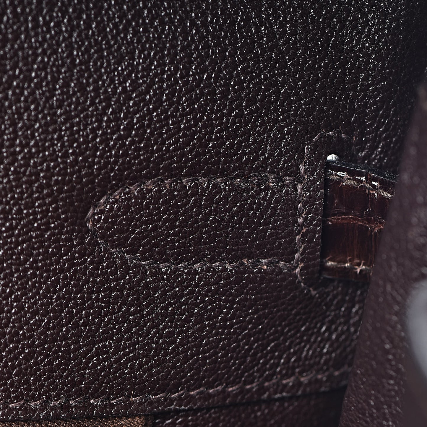 Shiny Porosus Crocodile Birkin 35 Cocoan