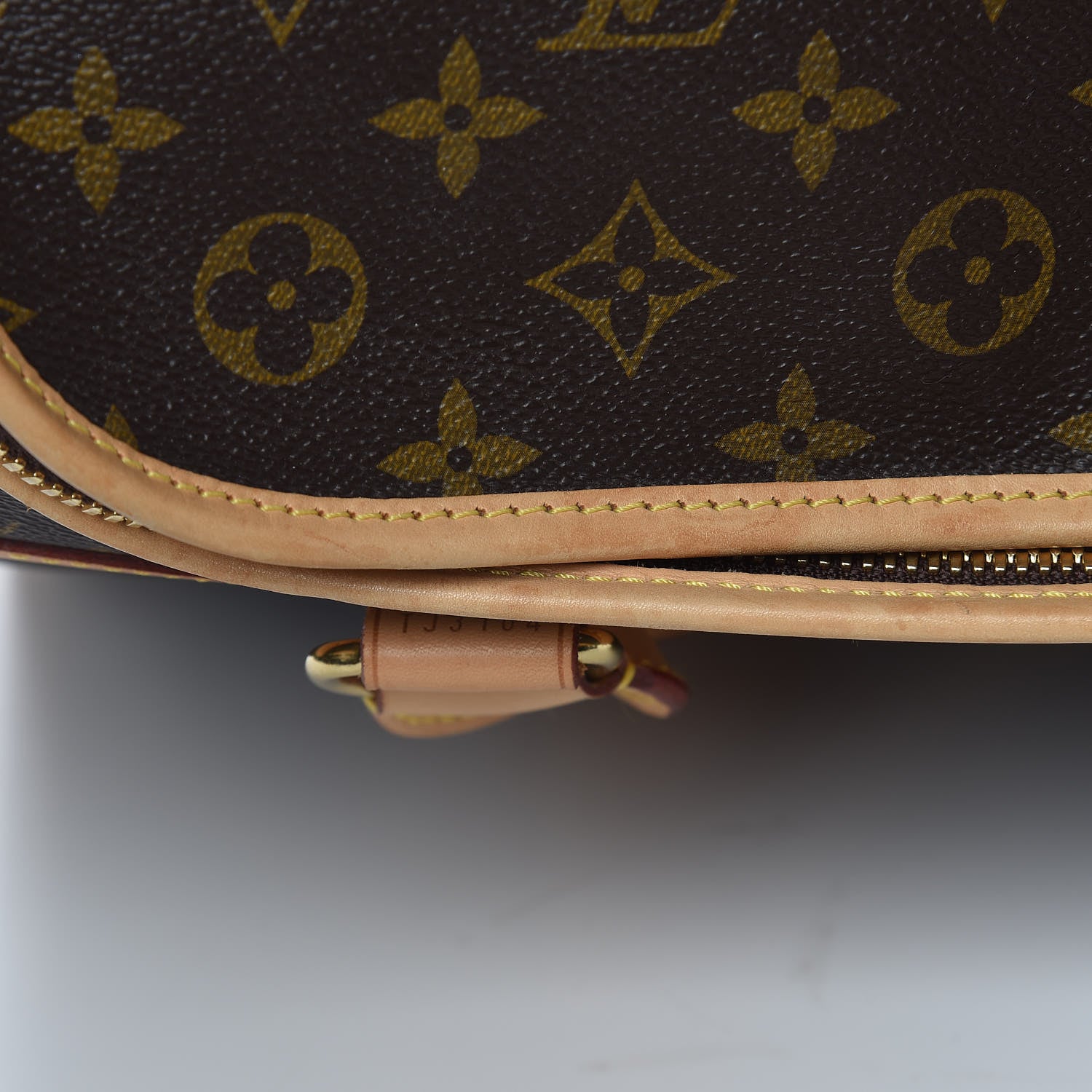 Louis Vuitton Monogram Sac Chien 40 Pet Carrier 9 of 17