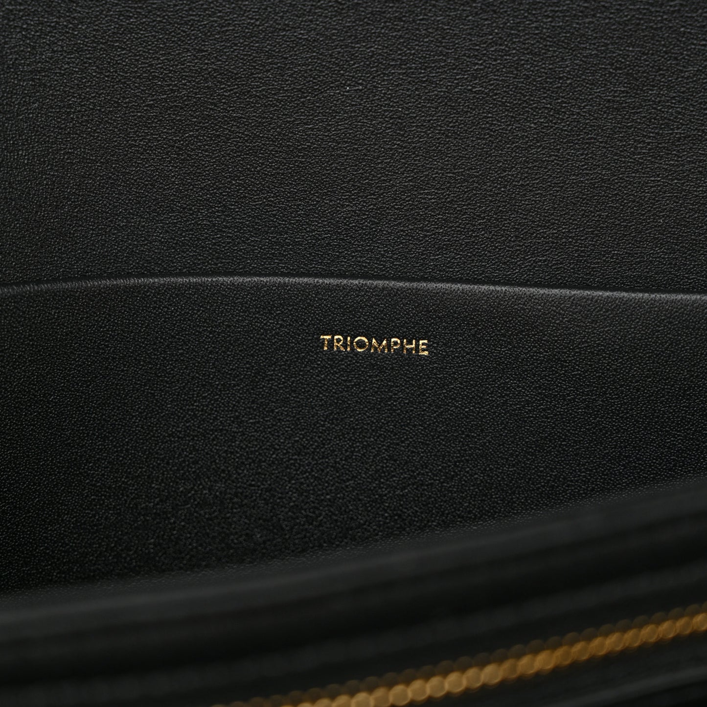 Shiny Calfskin Medium Triomphe Black