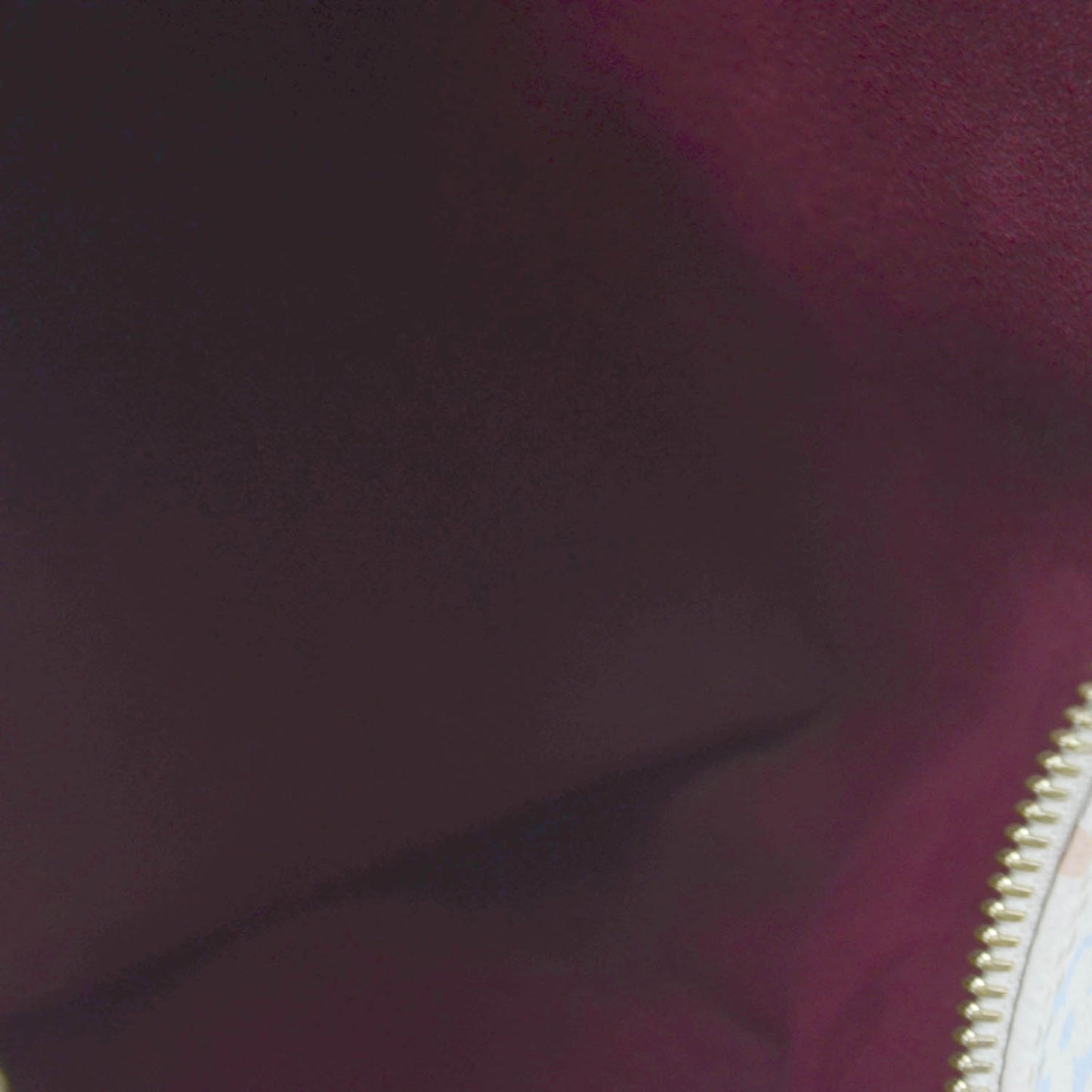 Monogram Multicolor Speedy 30 White