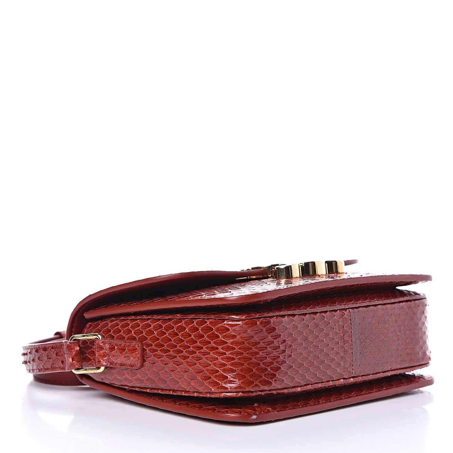 Watersnake Teen Triomphe Ruby