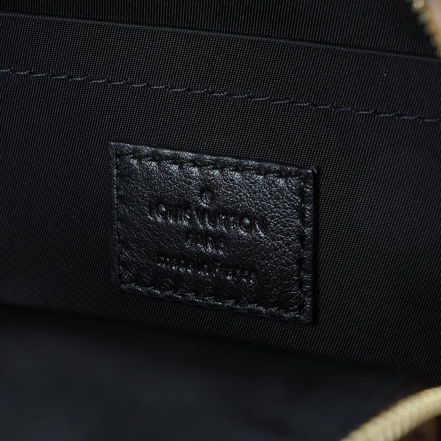 Reverse Monogram Palm Springs Backpack Mini
