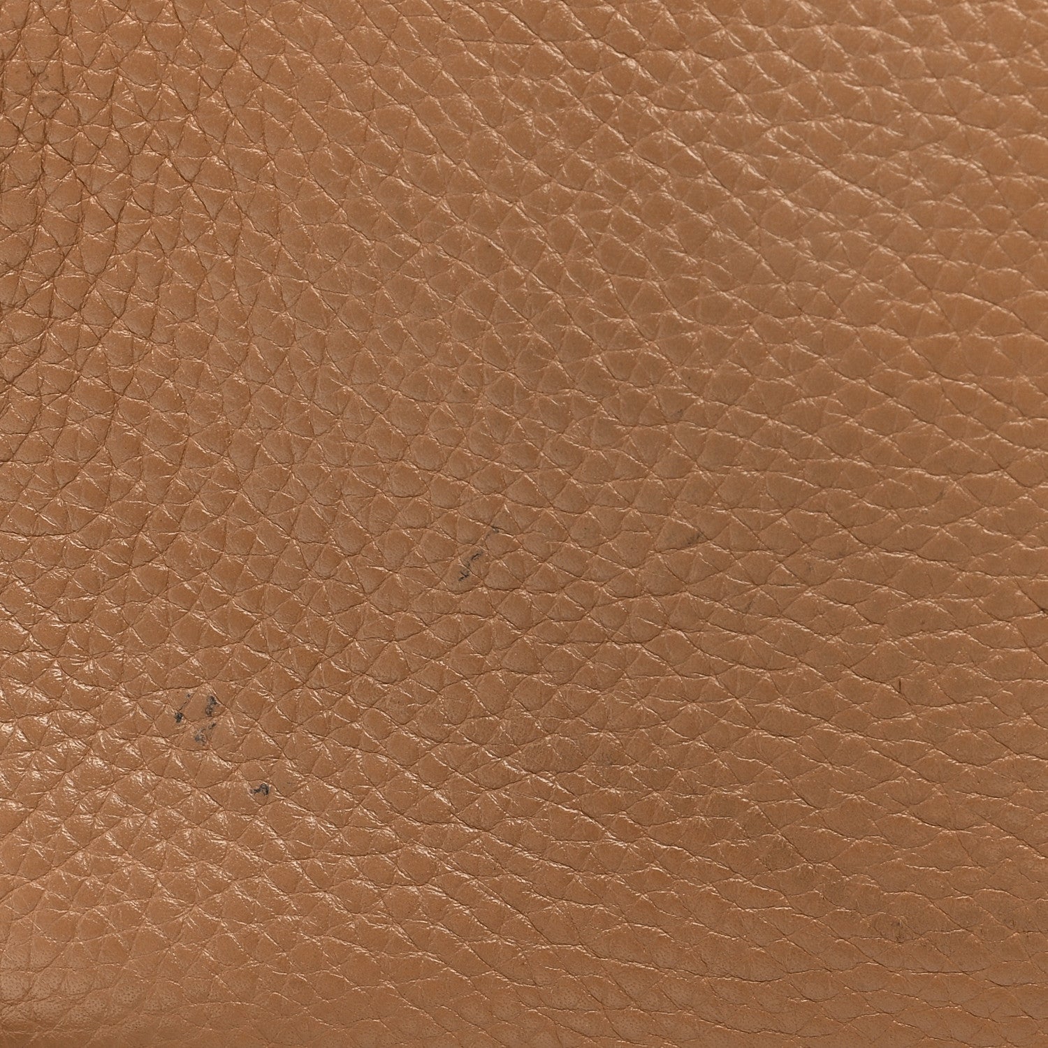 Gucci Pebbled Calfskin Small Soho Disco Bag Camelia 18 of 18