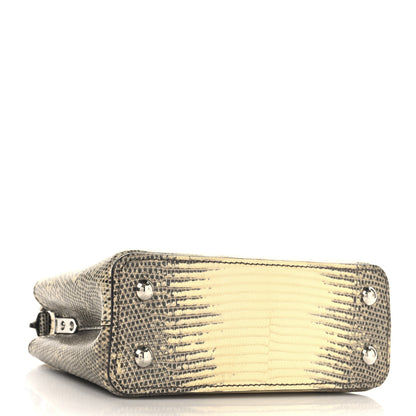 Louis Vuitton Lizard Ombre Capucines Mini Natural 4 of 11