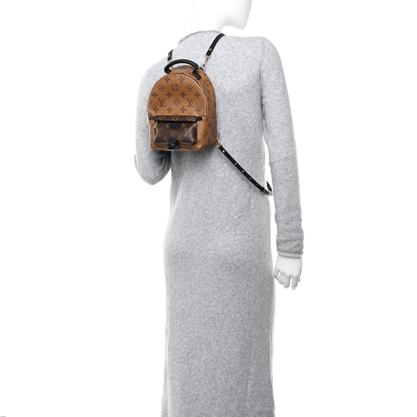 Reverse Monogram Palm Springs Backpack Mini