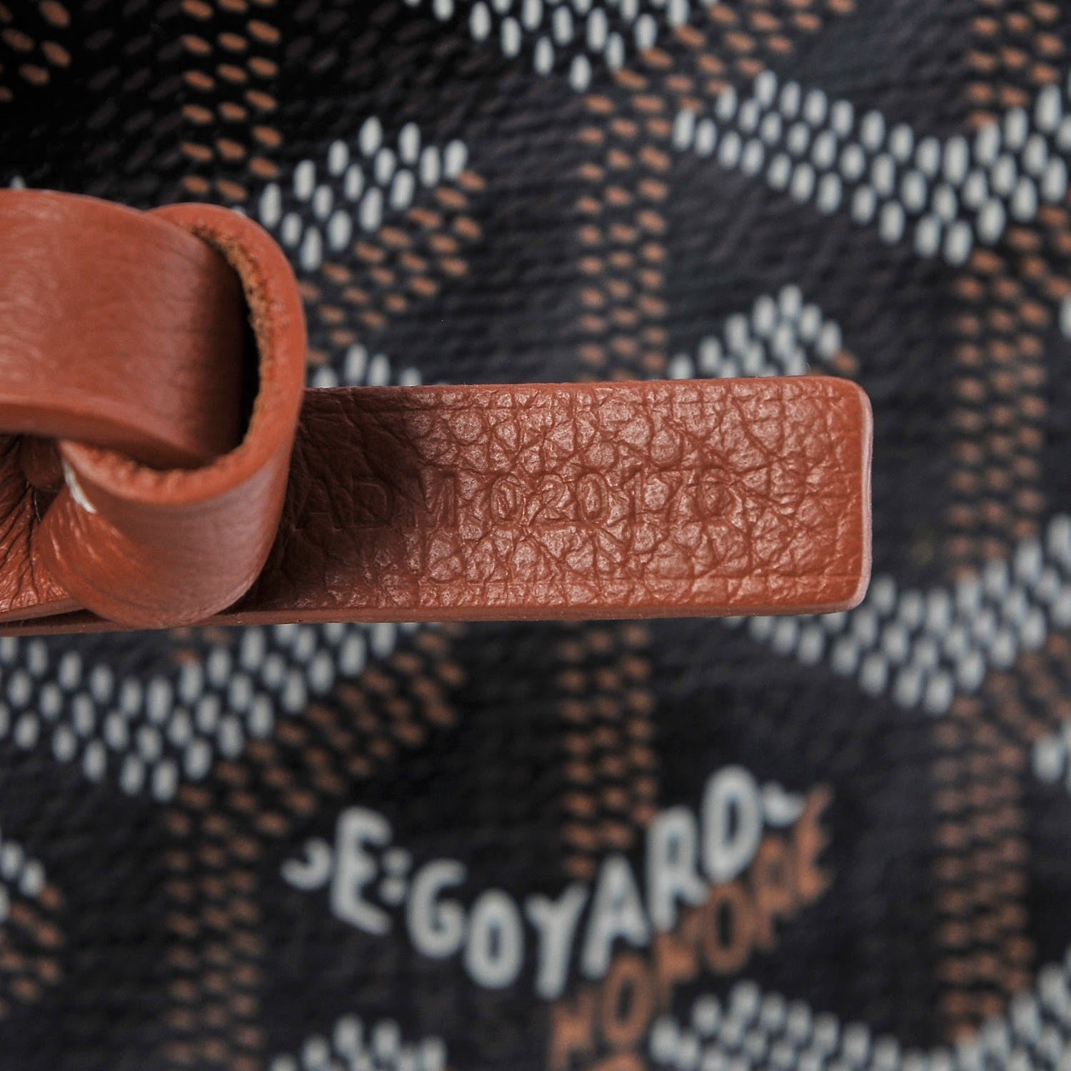 Goyard Goyardine Saint Louis PM Black Gold 10 of 10