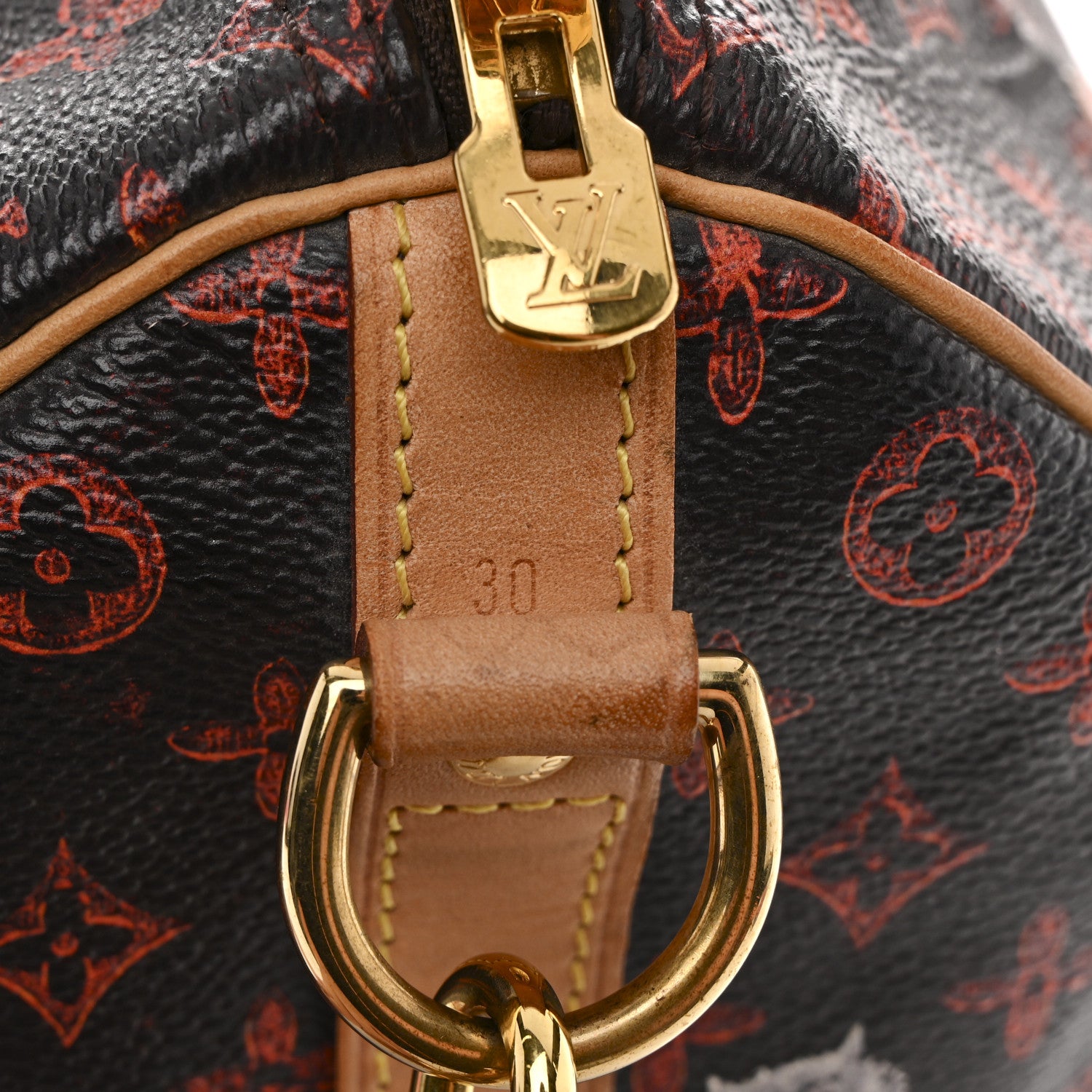 Louis Vuitton Catogram Speedy Bandouliere 30 Marron 8 of 14