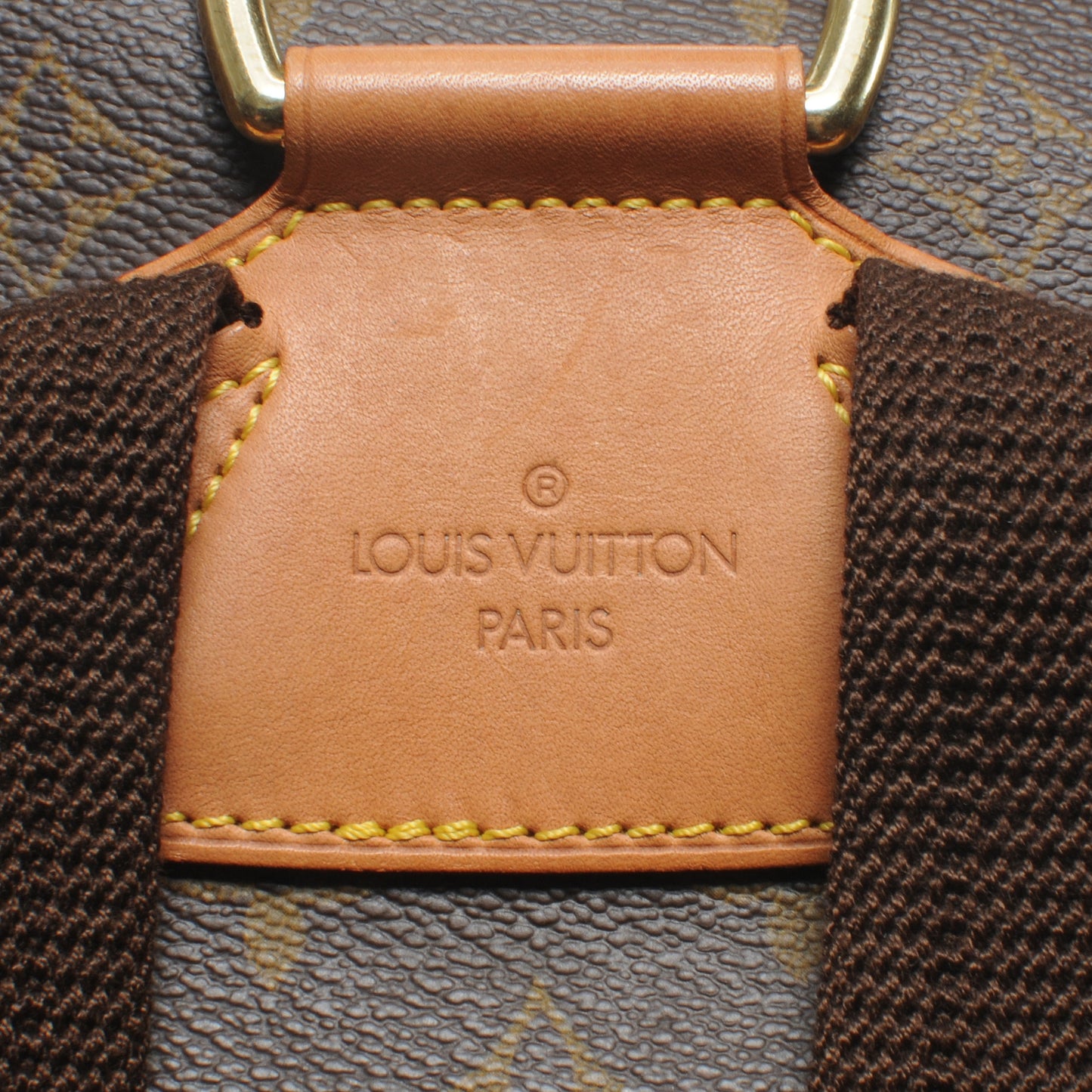 Monogram Montsouris GM Backpack