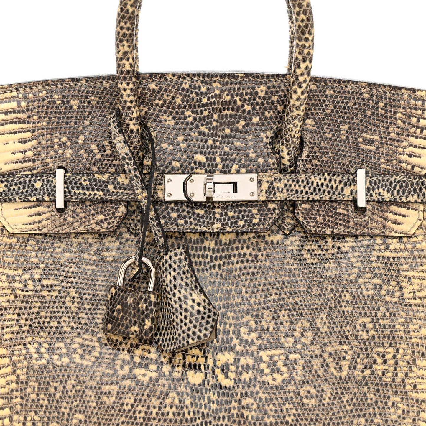 Lizard Birkin 25 Ombre