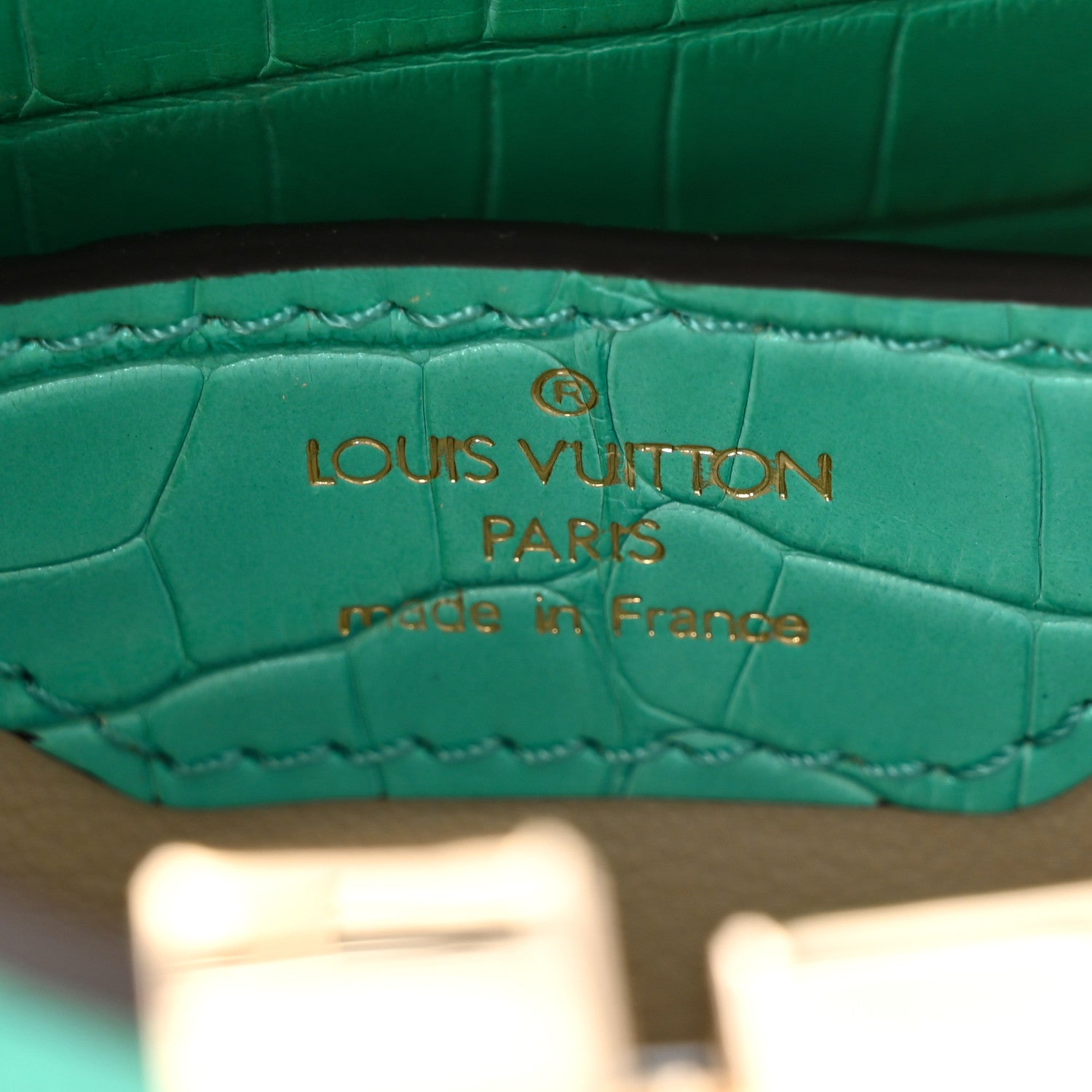 Louis Vuitton Iridescent Alligator Nano Capucines 7 of 11