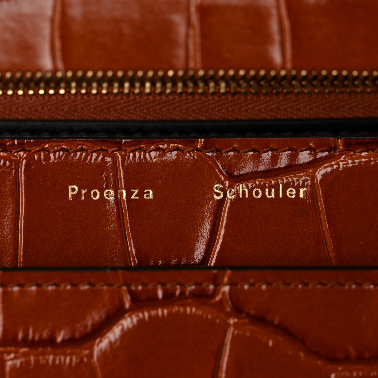 Proenza Schouler Calfskin Crocodile Embossed Dia Day Bag Chestnut 6 of 9