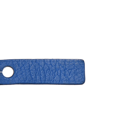 Goyard Goyardine Saint Louis PM Sky Blue 8 of 15