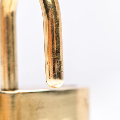 Louis Vuitton Brass Lock and 2 Keys Set #302 7 of 7