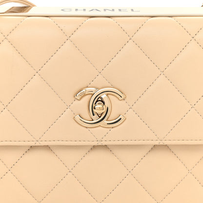 Chanel Lambskin Quilted Medium Trendy CC Flap Light Beige 9 of 11