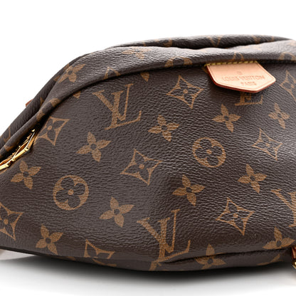 Louis Vuitton Monogram Bumbag 9 of 10