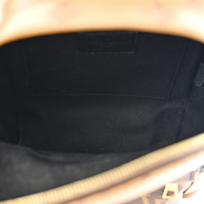 Louis Vuitton Reverse Monogram Palm Springs Backpack Mini 5 of 14