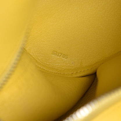 Loewe Calfskin Mini Elephant Crossbody Bag Yellow 7 of 9