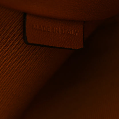 Celine Triomphe Canvas Lambskin Clutch On Chain Tan 7 of 13