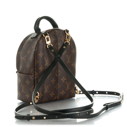 Louis Vuitton Monogram Palm Springs Backpack Mini 3 of 7