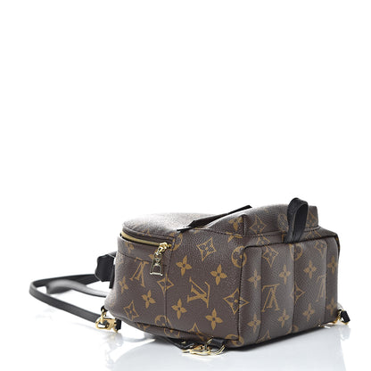 Louis Vuitton Monogram Palm Springs Backpack Mini 4 of 10