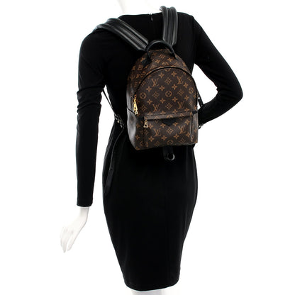 Louis Vuitton Monogram Palm Springs Backpack PM 2 of 6