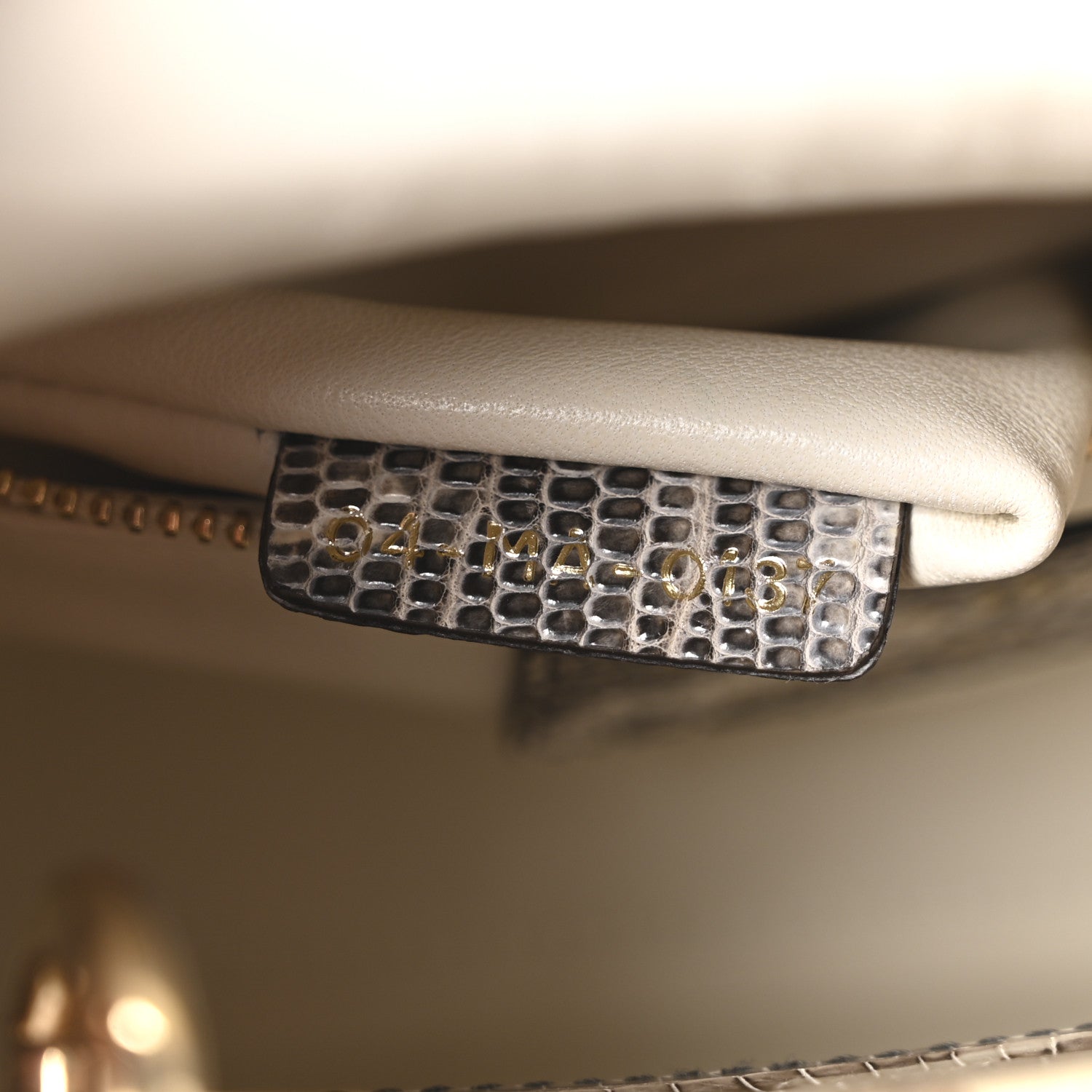 Christian Dior Lizard Ombre Mini Lady Dior 7 of 10