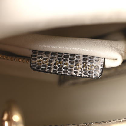 Christian Dior Lizard Ombre Mini Lady Dior 7 of 10