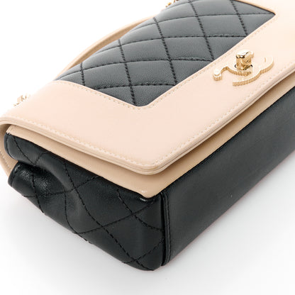 Chanel Sheepskin Quilted Small Vintage Mademoiselle Flap Beige Black 10 of 11