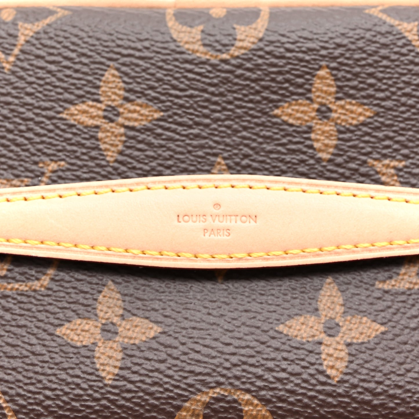 Monogram Nano Nice