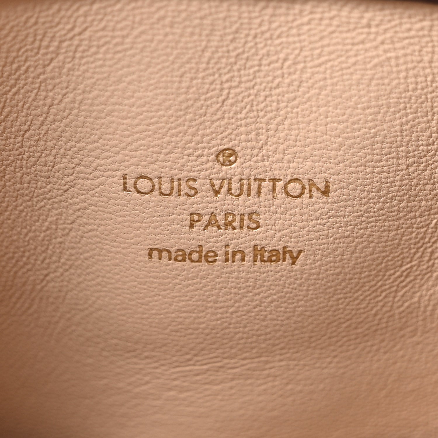 Louis Vuitton Calfskin Colored Monogram Speedy Amazon Chocolate White 6 of 9